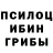 Псилоцибиновые грибы Cubensis olga gonchar