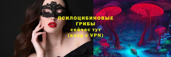 прущая мука Краснослободск
