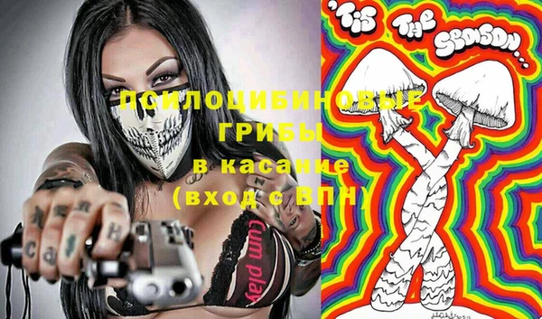 прущая мука Краснослободск