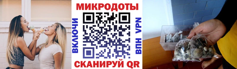 закладки  Новое Девяткино  Галлюциногенные грибы Psilocybine cubensis 